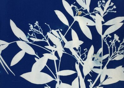 Cyanotype I