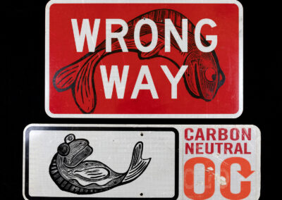 WrongWay 2024